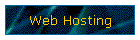 Web Hosting