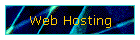 Web Hosting